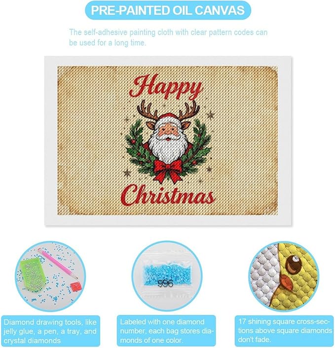 AIVKIEJK Diamond Painting Kits for Adults - Christmas Santa Claus Holly Berries & Snowflakes Painting DIY 5D Full Drill Diamond Dots Paintings with Diamonds Gem Art and Crafts Home Decor 8"x12"