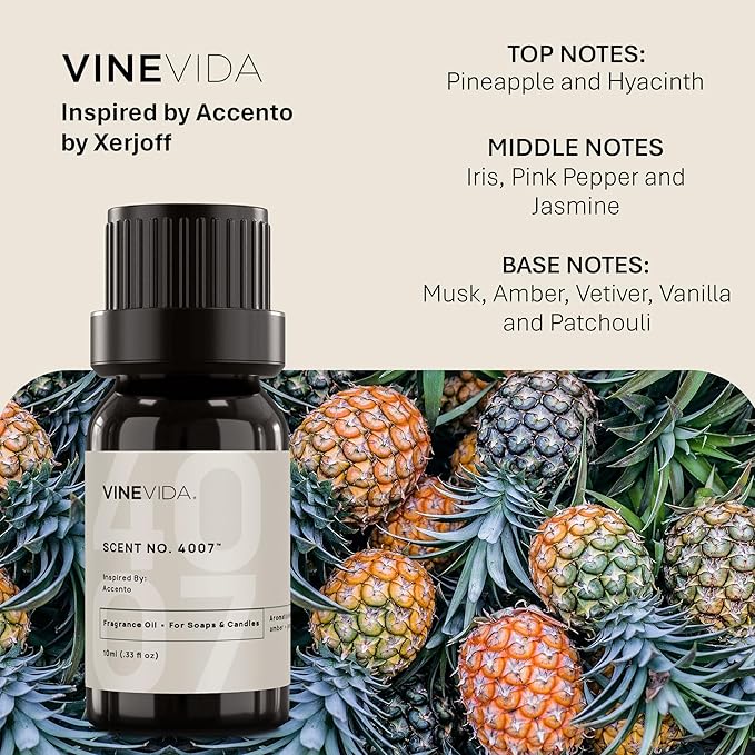 VINEVIDA [10mL] Accento Fragrance Oil for Candle Making - Natural Candle Oil Scents - Soap Making Essential Oil - Made in USA
