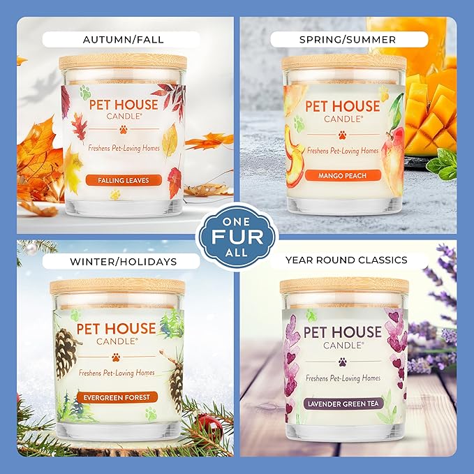 Pet House Pet Friendly Candle Plant Based Scented Candle Clean Burning, Long Lasting for Home, Sugar Cookies 2 Pack