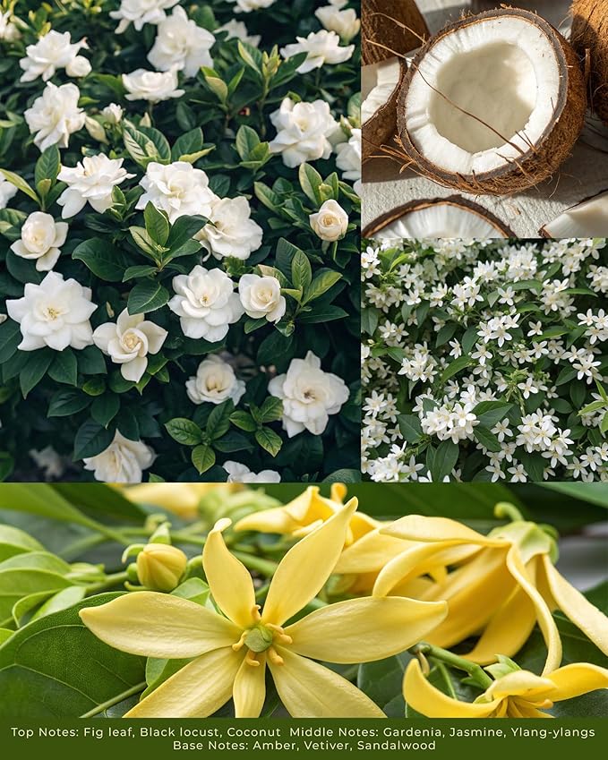 White Gardenia Scented Candles - 100% Natural Soy Wax - Large 3 Wick Jar Candle - Up to 50 Hours Burning Time - Candles for Home - Gift-Ready Candle for Men & Women - Aromatherapy