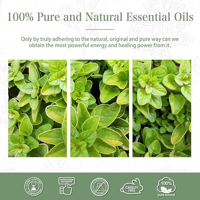 Oregano 1.01fl.oz Essential Oil, PHATOIL Pure Aromatherapy Oils for Diffuser, Humidifier, Perfect for DIY Soap, Candle, Bath Bombs Making(30ml)