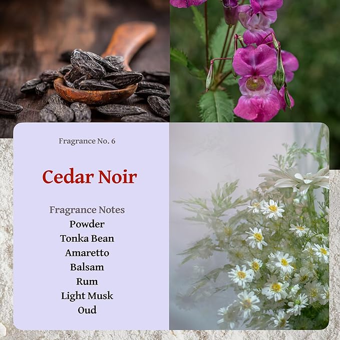 RUTH & ROSE | Cedar Noir | 100% Beeswax Scented Candles for Home, 8oz, +65 Hours Burn Time, Aromatherapy Non Toxic Candles, Gift for Women & Men, Perfect for Travel or Gifting