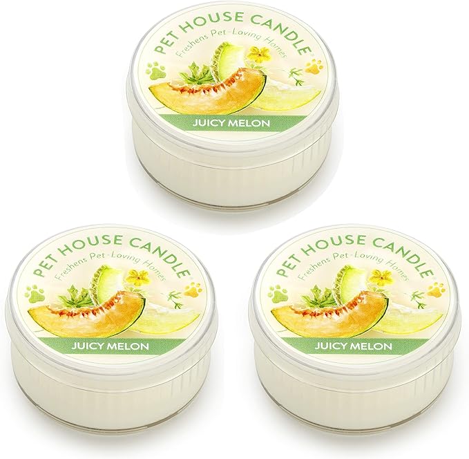 Pet House Mini Candles for Pet Odor Made with Natural Soy Wax, Plant Based, Dog and Cat Friendly Scented Candles, Juicy Mellon Pack of 3