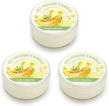 Pet House Mini Candles for Pet Odor Made with Natural Soy Wax, Plant Based, Dog and Cat Friendly Scented Candles, Juicy Mellon Pack of 3