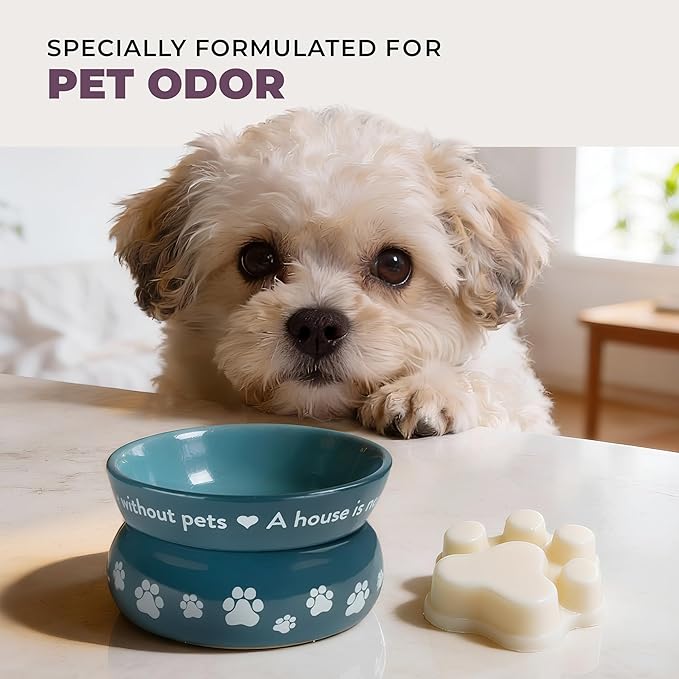 Pet House Scented Wax Melts Lavender Green Tea, Long-Lasting, Pet-Friendly Plant Based, Wax Melts for Home, 3 OZ Each, 2 Pack