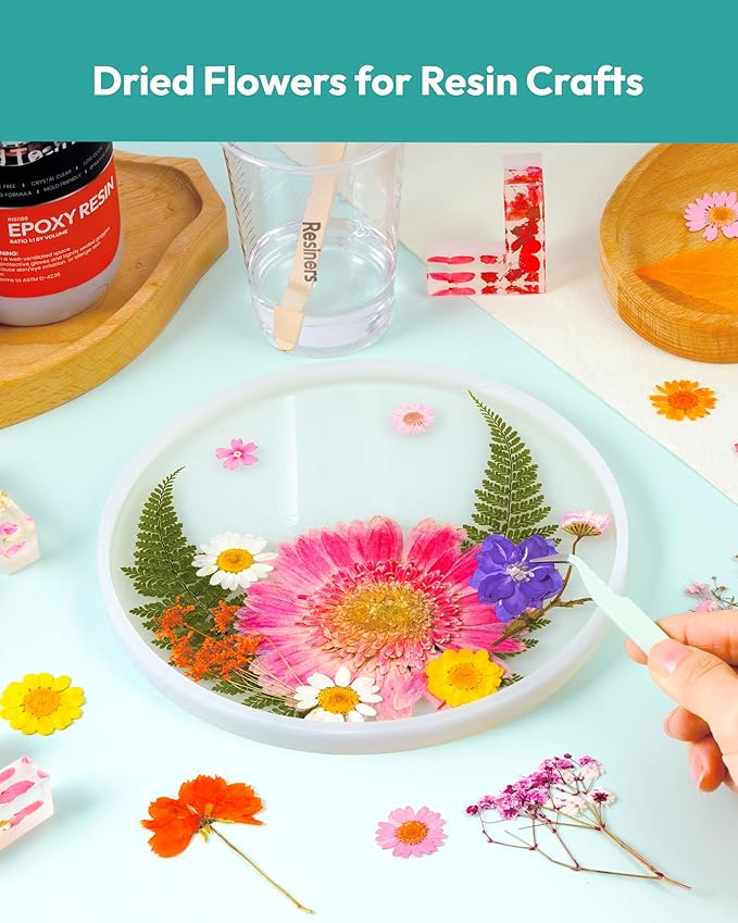 Dried Pressed Flowers, Resiners Dried Flowers for Candle Making Real Natural Pressed Flowers Dry Leaves Kit for DIY Crafts Resin Soap Scrapbook Card Making Jewelry (Gerbera Daisy 100pcs)