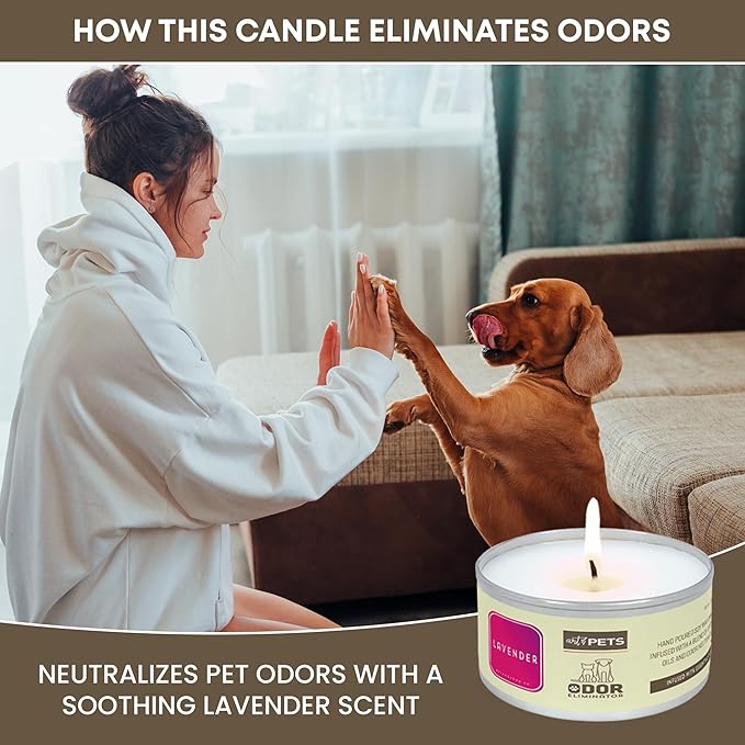 Pet Odor Candle for Dogs and Cats Long-Lasting 72-Hour, Odor Eliminating Candles Burn Natural Soy Wax with Refreshing Scent, Scented Candle to Remove Pet Smells (Lavender)