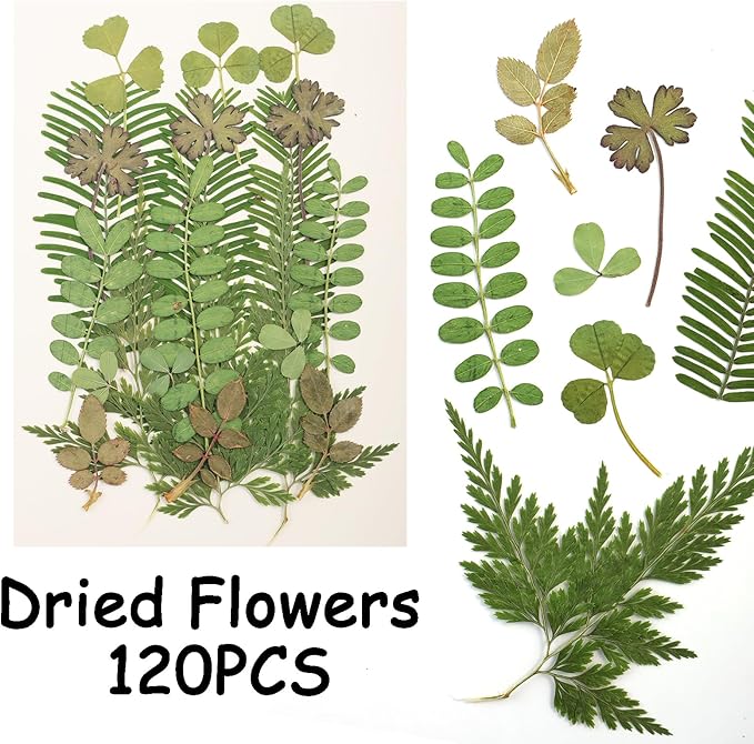 120Pcs Dried Pressed Leaves Flowers Real Flowers Natural Dry Leaves Bulk Mixed Colorful Herbs Kit with Tweezers for Scrapbooking DIY Candle Jewelry Crafts Making Nails Decorate(Green)