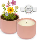 Hyggelight - The Growing Candle, Rosemary & Sage Scent, 8oz Ceramic Pot, Single Wick Aromatherapy Candles, 100% Soy for Women and Men, Adelyn