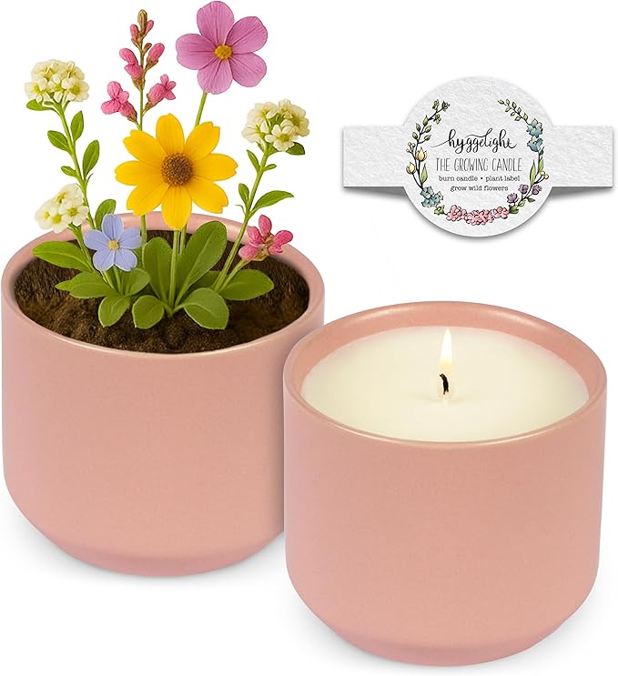 Hyggelight - The Growing Candle, Mint & Eucalyptus Scented, 8oz Ceramic Pot, Aromatherapy Candles, 100% Soy, Adelyn