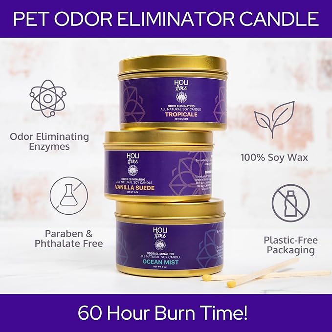 HOLI Pet Odor Eliminator Candle – Tropicale Scent – All Natural Soy Wax, Paraben & Phthalate Free, Pet Safe, Long-Lasting 30-Hour Burn, Non-Toxic & Plastic-Free Air Freshener for Home