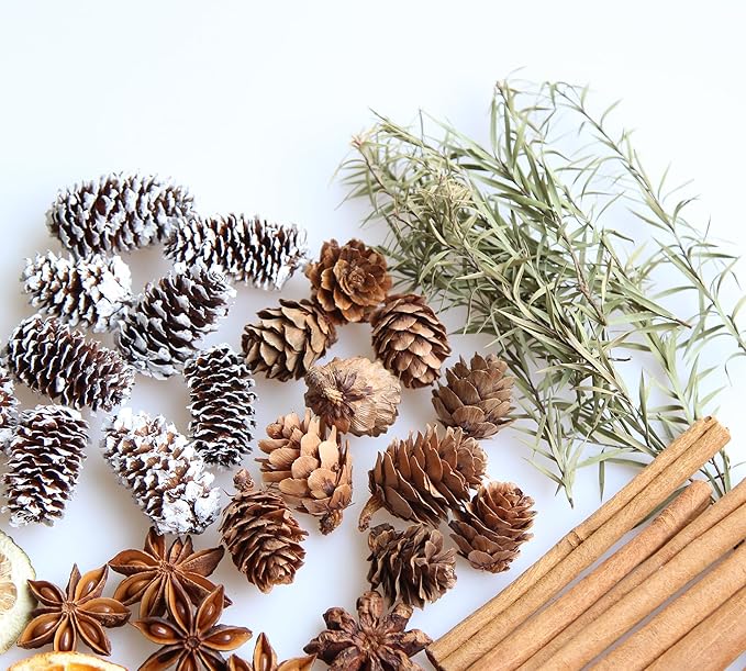 DIY Natural Dried Flower Kit - Bulk Dried Plants, Pine Cones, Scented Lemon Slices, Cinnamon Sticks Wood Roses & Mini Pinecones for Home Décor, Christmas Decoration (Orange - A)