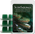 Scentsationals Wax Melts Strong Scent - Woodland Spruce - Long Lasting Scented Wax Cubes for Warmers, 10oz (24-Cubes)