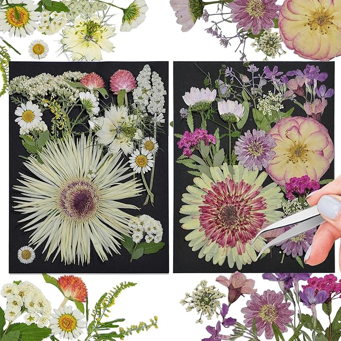 CONVELIFE White Dried Pressed Flowers, 40Pcs Real Nature Flowers Set with Tweezers, Pressed Flowers for Resin DIY Jewelry Candle Soap Vase Making Nail Card Scrapbook Art Craft Floral Decor