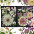 CONVELIFE White Dried Pressed Flowers, 40Pcs Real Nature Flowers Set with Tweezers, Pressed Flowers for Resin DIY Jewelry Candle Soap Vase Making Nail Card Scrapbook Art Craft Floral Decor