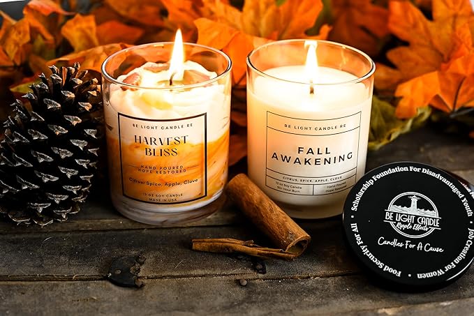 Scented Candles Clearance | Purpose-Driven Soy Candles | Fall Scented Candles for Home | 8oz Long Lasting Candle Non-Toxic | Candle Gift | Be Light Candle RE (Fall Awakening)