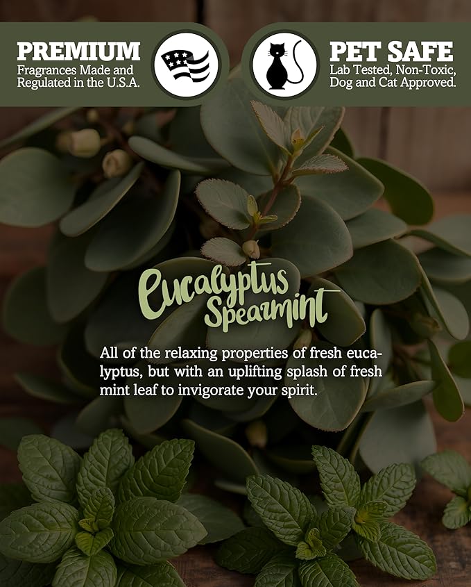 Eucalyptus Spearmint Scented Natural Soy Candle, Essential Fragrance Oils, 100% Soy, Phthalate & Paraben Free, Clean Burning, 9 Oz.