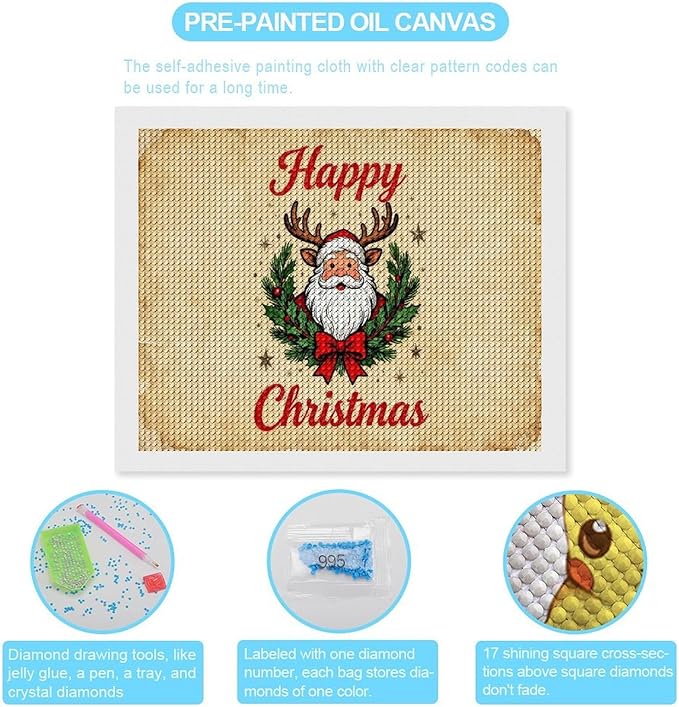 AIVKIEJK Diamond Painting Kits for Adults - Christmas Santa Claus Holly Berries & Snowflakes Painting DIY 5D Full Drill Diamond Dots Paintings with Diamonds Gem Art and Crafts Home Decor 16"x20"