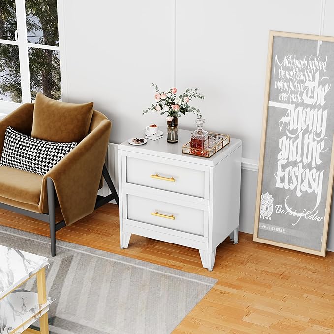 Ckzbx Metal Dresser Narrow Dresser for Bedroom Chest, 26.42" H Drawer Chest, Closet Dressers & Chests of Drawers for Living Room, Hallway (2 Drawers White 24inch Wide)