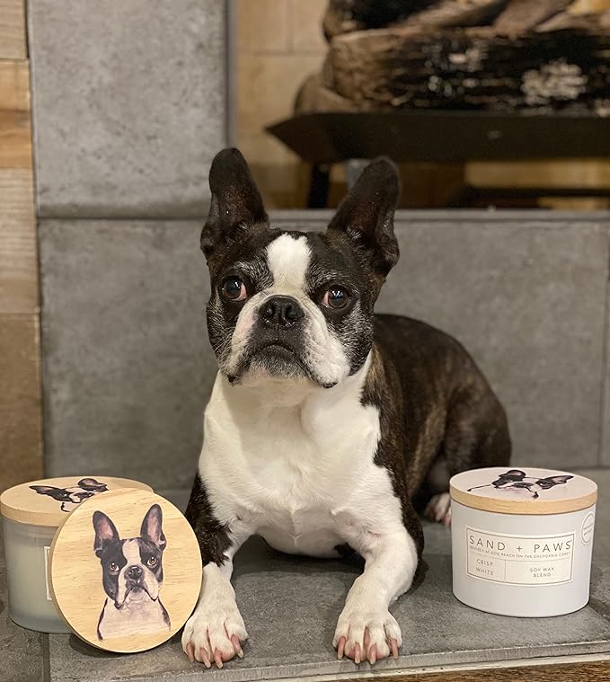 Sand + Paws Scented Candle - Tropical Citrus - Additional Scents and Sizes –Luxurious Air Freshening Jar Candles Neutralize pet Odors and Enhance Home décor – 100% Cotton Lead-Free Wicks - 12 oz