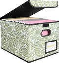 BALEINE File Organizer Box with Lid, Collapsible File Folder Organizer with Plastic Slide, Hanging File Folder Box for Office Document Storage (1 Pack, Antique Foliage)