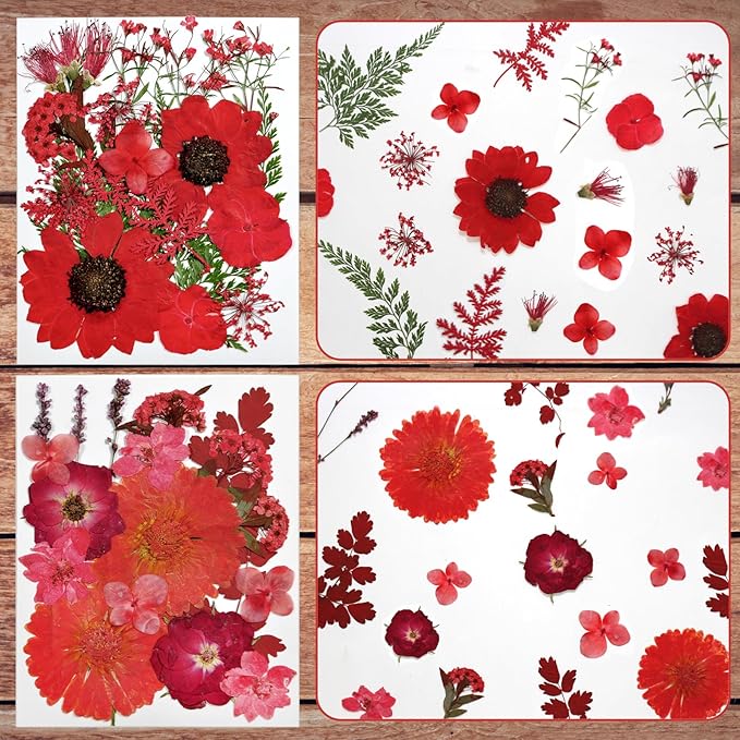 CONVELIFE Dried Flowers for Resin, Vacuum Packed DIY Pressed Flowers for Epoxy, Jewelry, Candles, Soap, Nail Production (80PCS Red Dried Flowers)