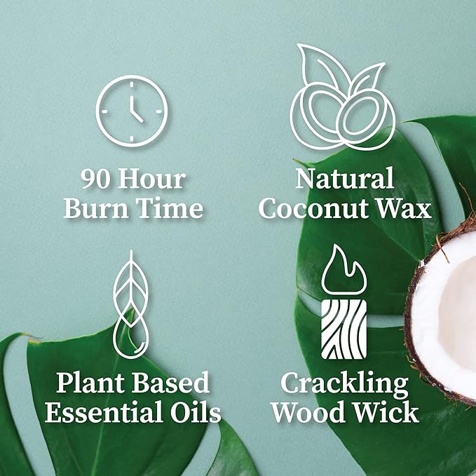 Hemlock Park Crackling Wood Wick Candle Handcrafted with Natural Coconut Wax (Large 16 oz, Sandalwood)