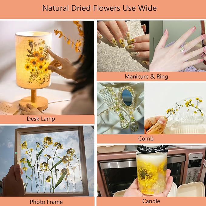 50 Pcs Dried Flowers for Resin,Real Pressed Flowers Leaves Mixed Multiple Natural Kit for Christmas DIY Gift,Art Crafts,Candle, Soap Making, Nails Decor
