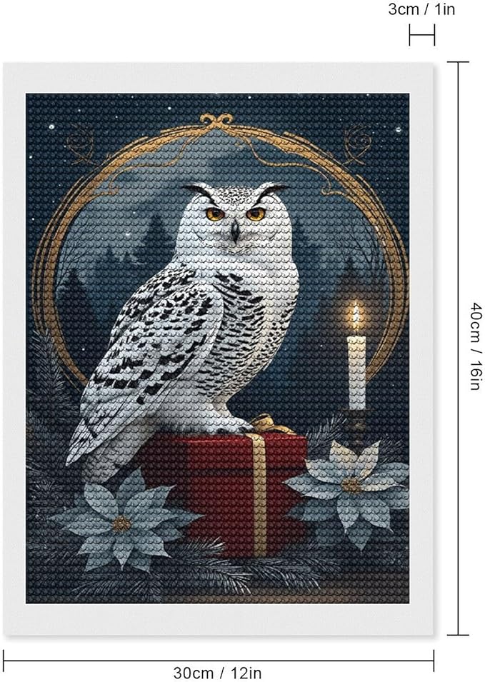 KIVJMSIDJA Diamond Art Kits for Adults Snowy Owl & Candle Glow - Winter Night Scene DIY Round Diamond Art for Home Wall Decor & Crafts Gifts 12"x16"