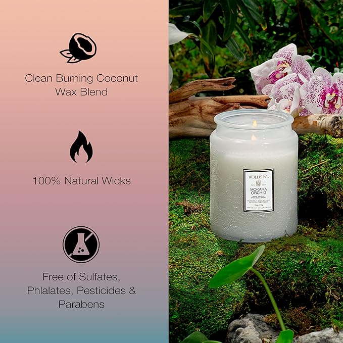 Voluspa Mokara Orchid, Large Candle Jar, 18 oz, 100 Hour Burn Time, All Natural Wicks and Coconut Wax for Clean Burning, Vegan, Poured in The USA