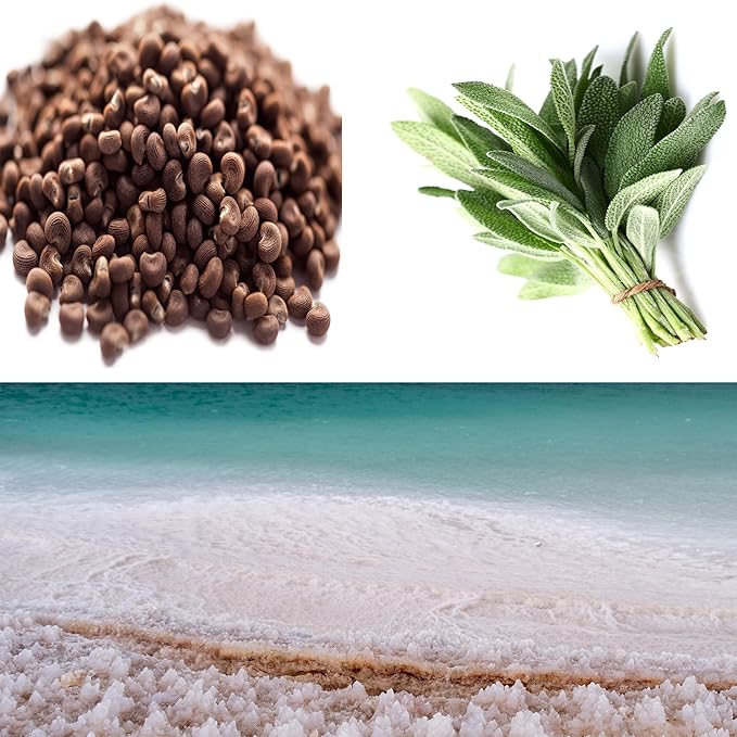 100% Soy, Highly Scented, Hand Poured Soy Candle (Wood Sage & Sea Salt (Wooden Wick))