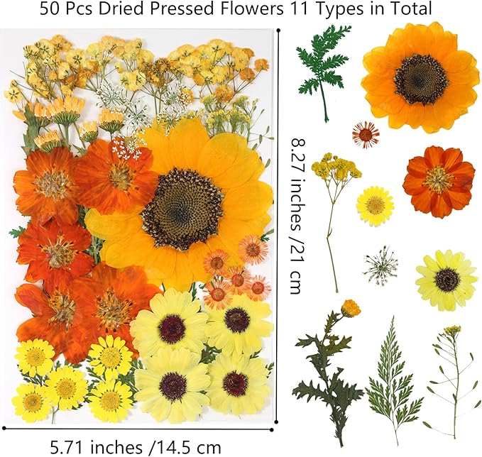 50 Pcs Dried Flowers for Resin,Real Pressed Flowers Leaves Mixed Multiple Natural Kit for Christmas DIY Gift,Art Crafts,Candle, Soap Making, Nails Decor