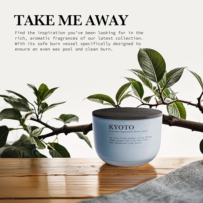 Sandalwood Jasmine Scented Candle, 3 Wicks, 16 oz Soy Wax, Natural Candles Non Toxic for Home Scented, Large Candle Gift for Women & Men, Long Lasting Slow Burning Aromatherapy Candles for Home Decor
