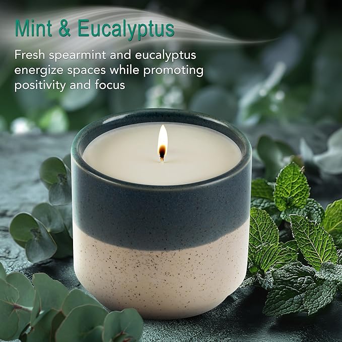 Hyggelight - The Growing Candle, Mint & Eucalyptus Scented, 8.5oz Ceramic Pot, Aromatherapy Candles, 100% Soy, Willow
