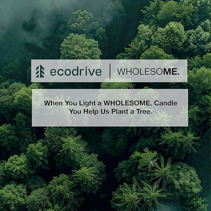 WHOLESOME. Jasmine White Tea Scented Non-Toxic Candles for Home, 2 Wicks Natural Coconut Wax Candle Eco-Friendly, Luxury Aromatherapy Candles Stress Relief, 16 oz Large Concrete Jar, 90 Hours Burn
