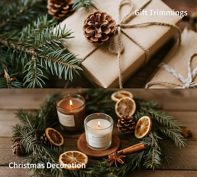 DIY Natural Dried Flower Kit - Bulk Dried Plants, Pine Cones, Scented Lemon Slices, Cinnamon Sticks Wood Roses & Mini Pinecones for Home Décor, Christmas Decoration (Orange - B)