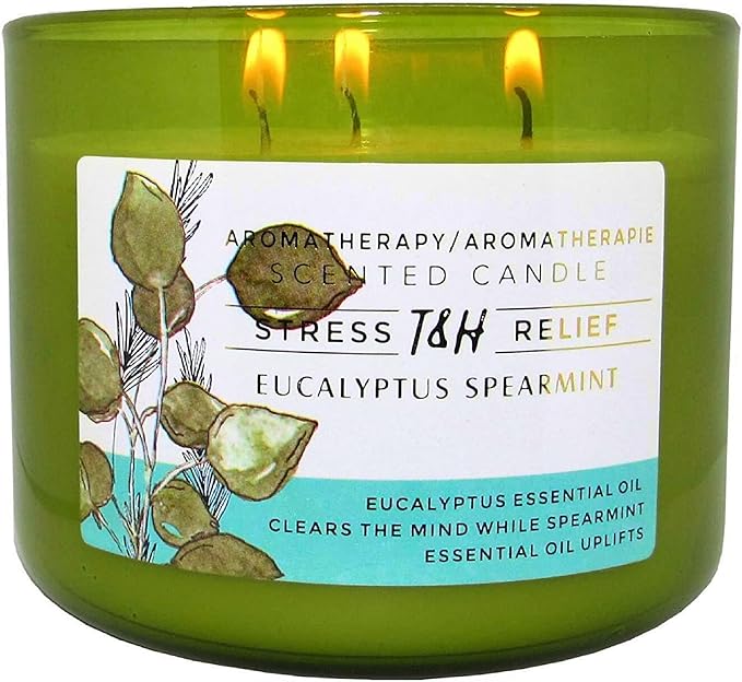 Eucalyptus Spearmint 3-Wick Soy Candle | 80 Hour Burn | 15.8 oz Aromatherapy Scented Candle for Home | Fresh Herbal Spa Scent | Gift Ready