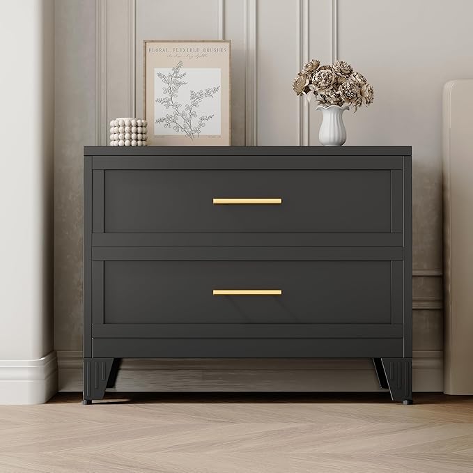 Ckzbx Metal Dresser for Bedroom 2 Drawers Dresser Metal Storage Dressers Organizer,24.8" H Black Drawer Chest, Closet Organizers for Living Room, Hallway, Closet