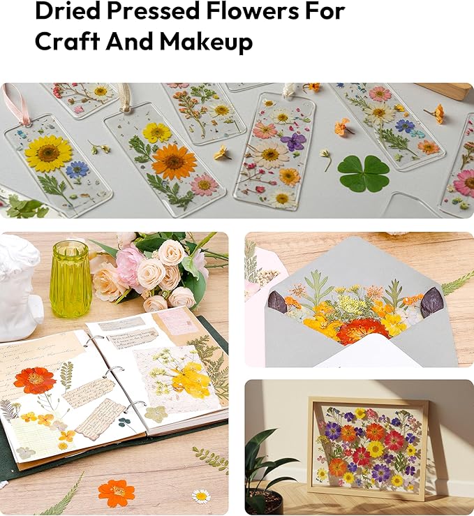 Dried Pressed Flowers, Resiners Dried Flowers for Candle Making Real Natural Pressed Flowers Dry Leaves Kit for DIY Crafts Resin Soap Scrapbook Card Making Jewelry (Gerbera Daisy 100pcs)