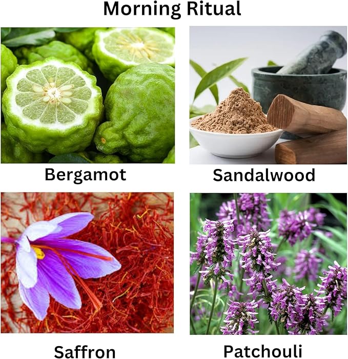 Morning Ritual Scented Candle – Palo Santo & Sandalwood Soy Candle for Meditation & Yoga – Earthy Moss Luxury Candle – Vegan, Phthalate-Free, Clean Burn – 5 oz, Made in USA