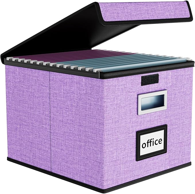 Huolewa File Organizer Box with Lid, Collapsible File Folder Organizer for Office Document Storage, Filing Box with Plastic Slide for Letter Size Hanging File Folders(1 Pack, Lavender)