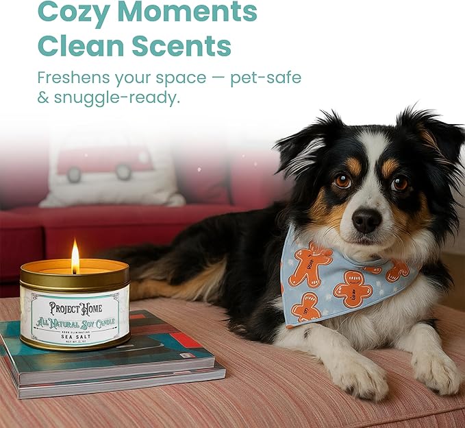Sea Salt Pet Odor Eliminator Candle, Ocean Breeze Scent, 6oz, Eco-Friendly Soy Wax, Made in USA, Pet-Safe, Natural Odor Removal Candle, Non-Toxic, Phthalate-Free, Cotton Wick