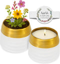 The Growing Candle, Unscented Fragrance Free Candles, 10oz Ceramic Pot, 100% Soy, Clara