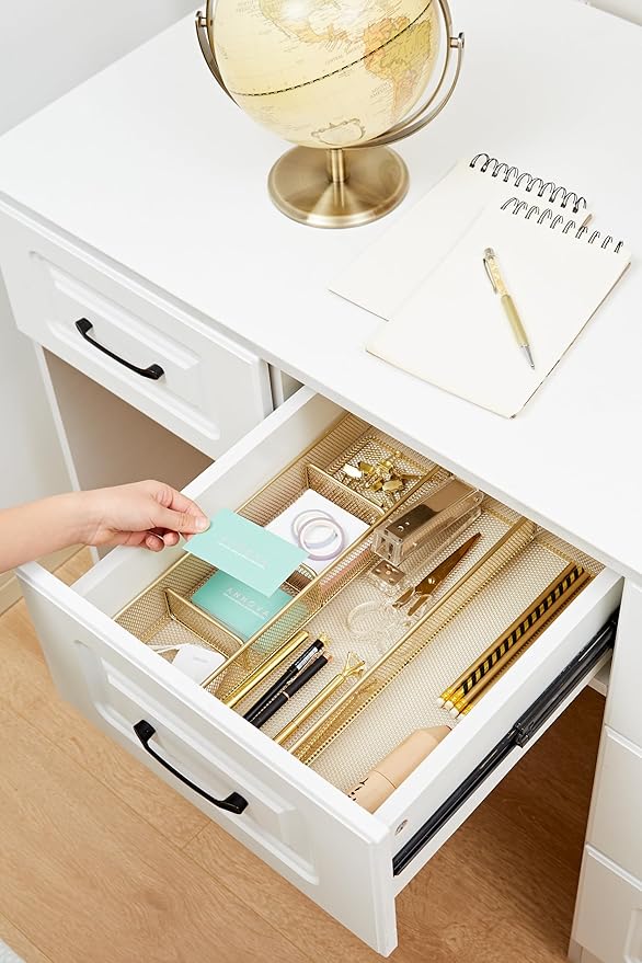Annova Desk Top Organizer Tray for Office Organization - Metal Mesh - Storage Tray with Dividers for Pens, Desktop Accessories, Bathroom, Kitchen, Makeup and Office Supplies (Large, Gold)