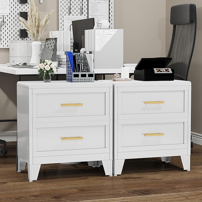 Ckzbx Metal Dresser Narrow Dresser for Bedroom Chest, 26.42" H Drawer Chest, Closet Dressers & Chests of Drawers for Living Room, Hallway (2 Drawers White 24inch Wide)