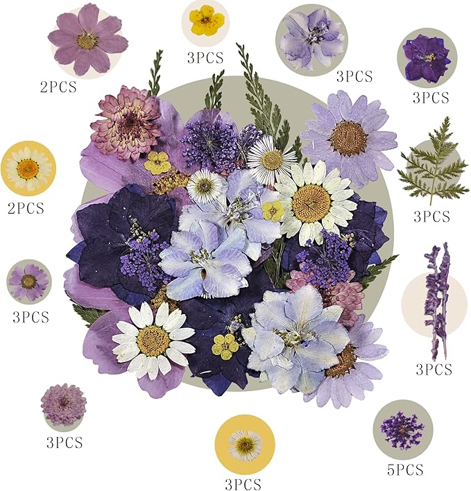 CONVELIFE Pressed Flowers Purple 33 Pcs of 12 Types, Real Dried Flowers for Resin Plant Herbarium, Dried Flowers for DIY Jewelry Molds, Art Crafts Scrapbooking, Candle, Soap Making