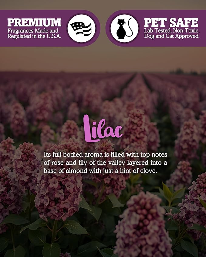 Shortie's Candle Company Pure Lilac Wax Melts Multi Pack - 2 Highly Scented 3 Oz. Bars (6 Oz. Total) - Made with Natural Oils - Flower & Floral Air Freshener Cubes Collection