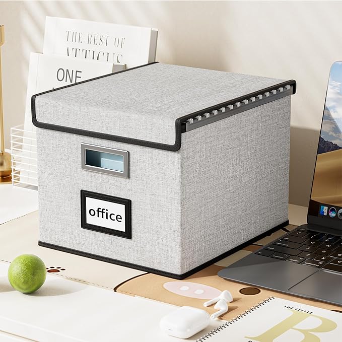 Huolewa File Organizer Box with Lid, Collapsible File Folder Organizer for Office Document Storage, Filing Box with Plastic Slide for Letter Size Hanging File Folders(1 Pack, White)