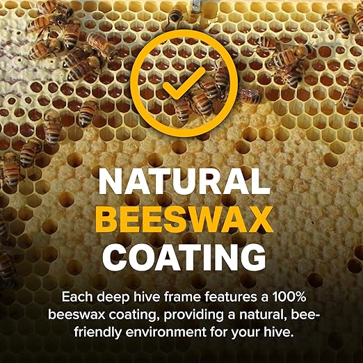 Mann Lake Premium Beekeeping Frames, Fully Assembled, Deep Rite-Cell Hive Frames, Beeswax Coating, Universal Fit, BPA & BPS Free, 9 1/8 Inches, Black, 20-Pack