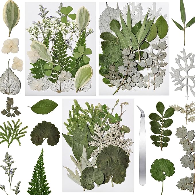 CONVELIFE 63 Pcs Pressed Leaves, 21 Styles Dried Flowers for Resin, Natural Dry Leaves for Pressed Leaf Art Craft DIY Embellishment Decorations